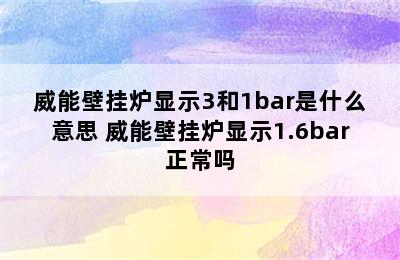 威能壁挂炉显示3和1bar是什么意思 威能壁挂炉显示1.6bar正常吗